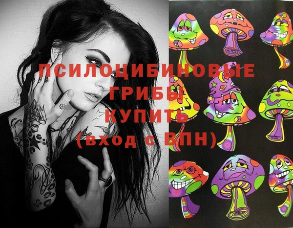 тгк Вязники